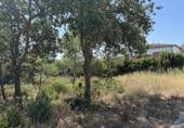 Urban land for sale on España, Roses, ref: TR244671 photo