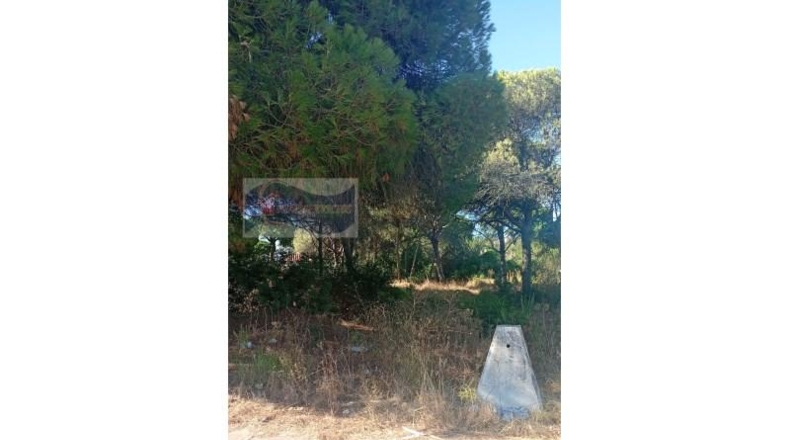 Huelva - El Portil - 901m2