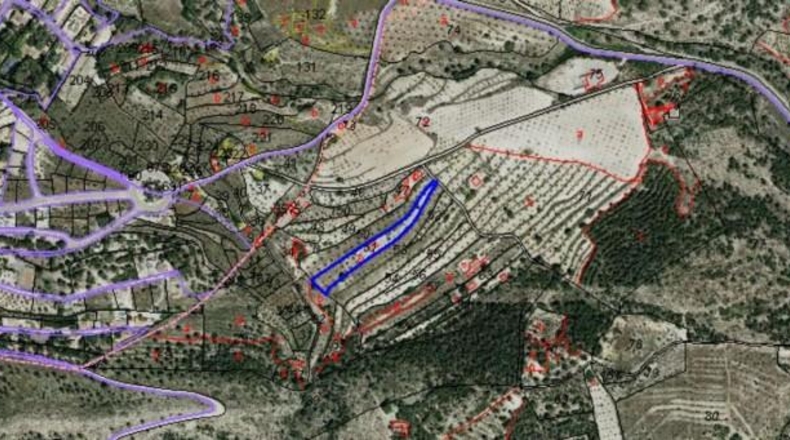 Valencia - Algemesí - 4583m2