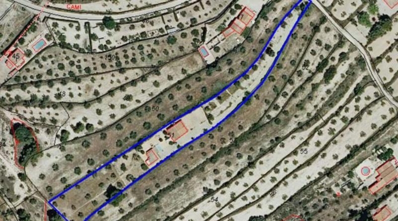 Valencia - Algemesí - 4583m2