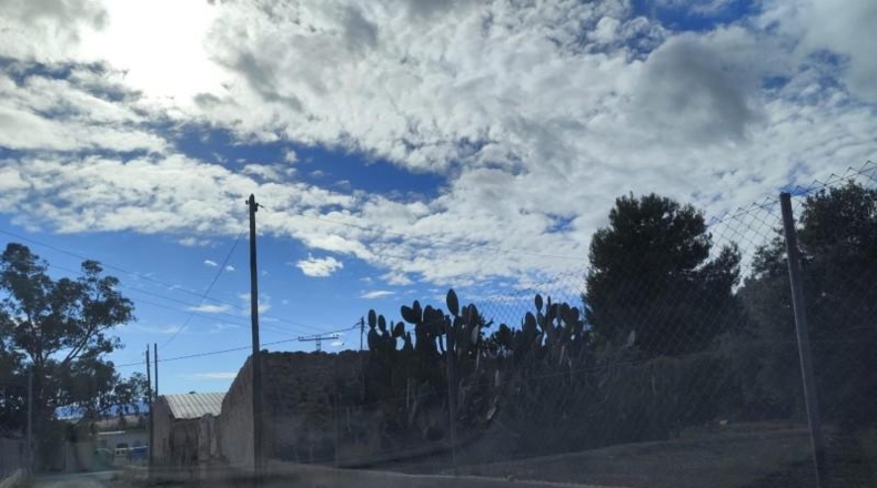 Murcia - Alhama de Murcia - 1250m2