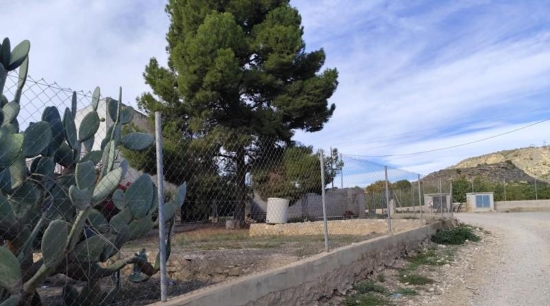 Murcia - Alhama de Murcia - 1250m2