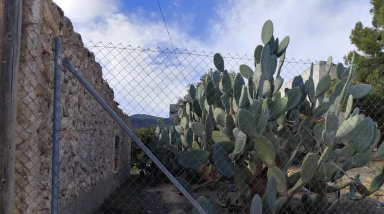 Murcia - Alhama de Murcia - 1250m2