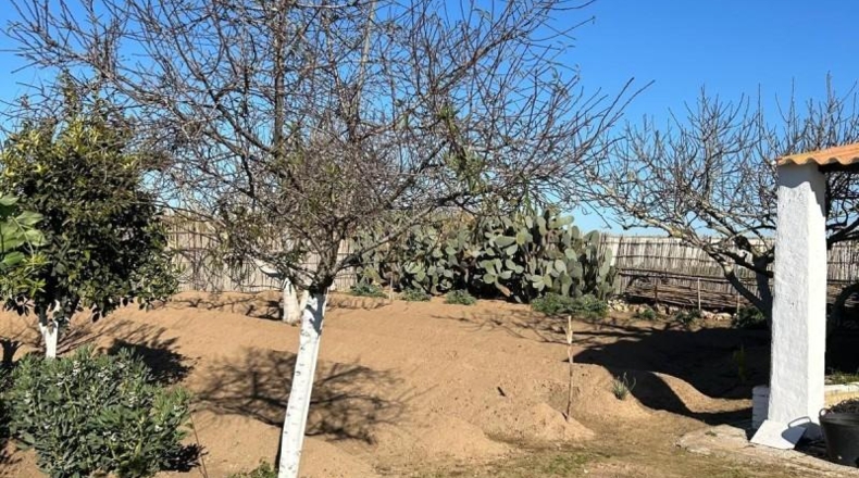 Cádiz - Chipiona - 45m2