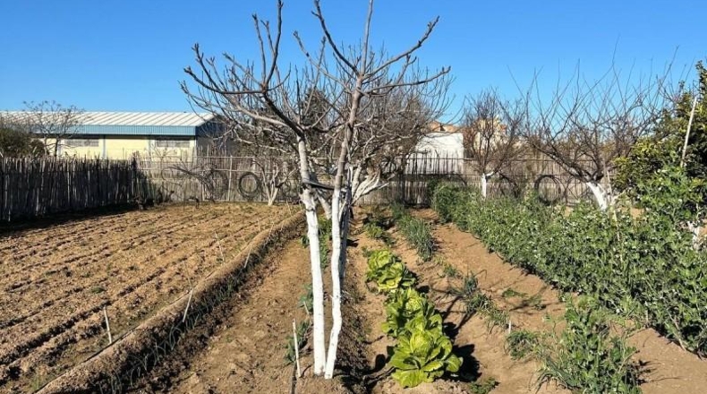Cádiz - Chipiona - 45m2