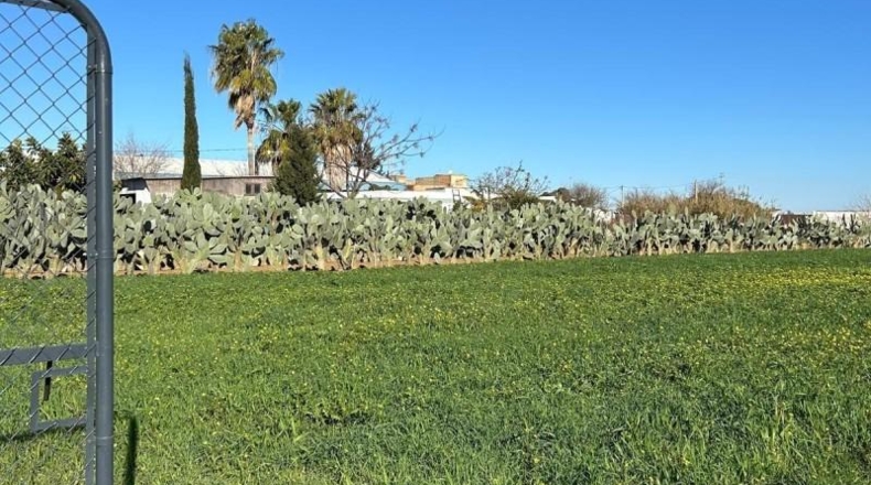 Cádiz - Chipiona - 45m2