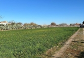 Parcel·la urbanitzable en venda a la España, Chipiona, ref.: TR220901 foto