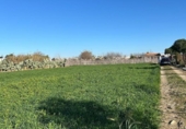Parcel·la urbanitzable en venda a la España, Chipiona, ref.: TR220901 foto