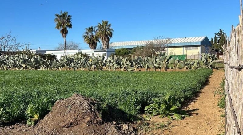 Cádiz - Chipiona - 45m2