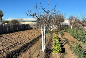 Foto 16