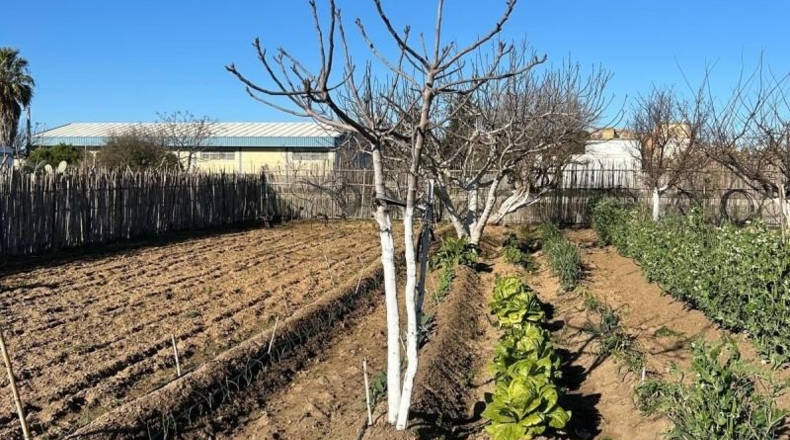 Cádiz - Chipiona - 45m2