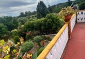 Detached villa with land for sale on España, Aljucén, ref: TR369997 photo