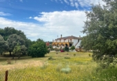 Detached villa with land for sale on España, Aljucén, ref: TR369997 photo