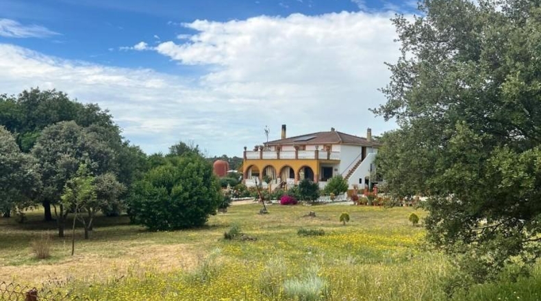 Badajoz - Aljucén - 6216m2