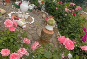 Foto 11