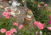 Detached villa with land for sale on España, Aljucén, ref: TR369997 photo