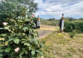 Detached villa with land for sale on España, Aljucén, ref: TR369997 photo