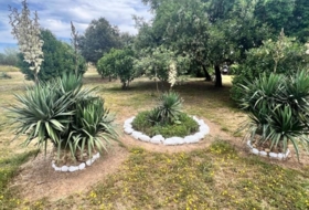 Foto 15