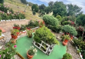 Detached villa with land for sale on España, Aljucén, ref: TR369997 photo