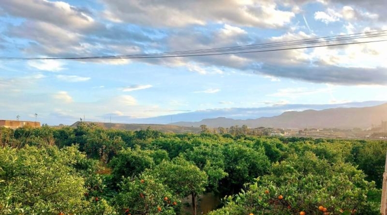 La Rioja - Castañares de Rioja - 400m2