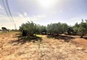 Non-developable land for sale on España, Lorca, ref: TR125183 photo