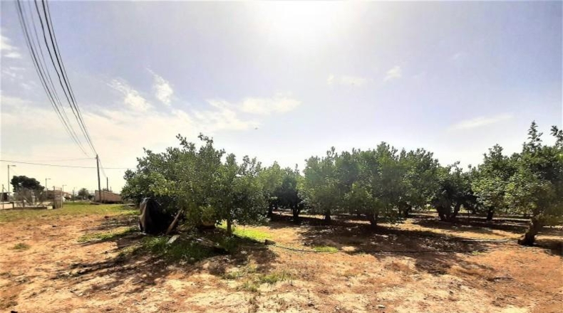 Múrcia - Lorca - 6111m2