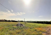 Non-developable land for sale on España, Lorca, ref: TR125183 photo