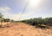 Non-developable land for sale on España, Lorca, ref: TR125183 photo
