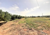 Non-developable land for sale on España, Lorca, ref: TR125183 photo