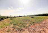 Non-developable land for sale on España, Lorca, ref: TR125183 photo