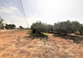 Non-developable land for sale on España, Lorca, ref: TR125183 photo