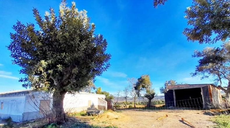 Cádiz - Arcos de la Frontera - 34619m2