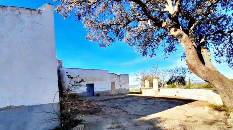 Cádiz - Arcos de la Frontera - 34619m2