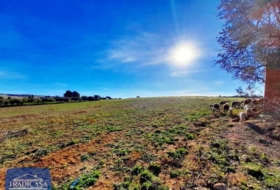 Arcos de la Frontera 34619&nbsp;m² 