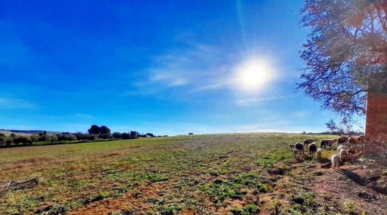 Cádiz - Arcos de la Frontera - 34619m2
