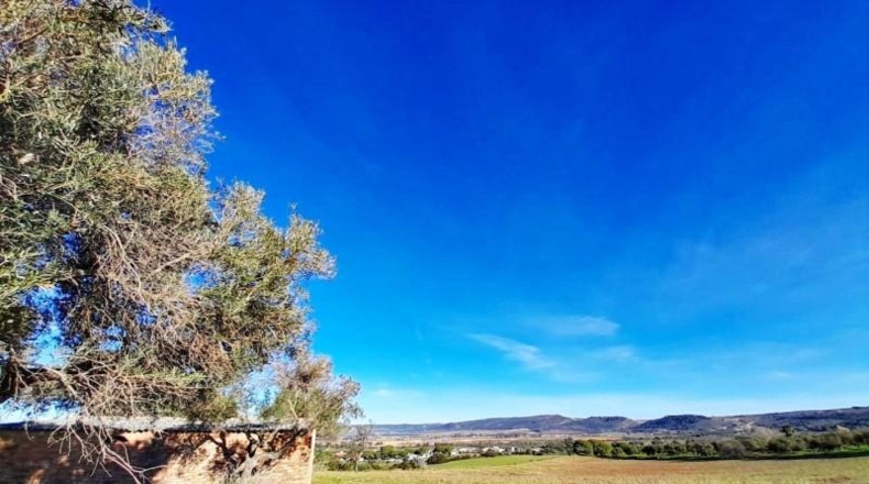 Cádiz - Arcos de la Frontera - 34619m2