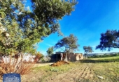 Terreny no urbanitzable en venda a la España, Arcos de la Frontera, ref.: TR126538 foto