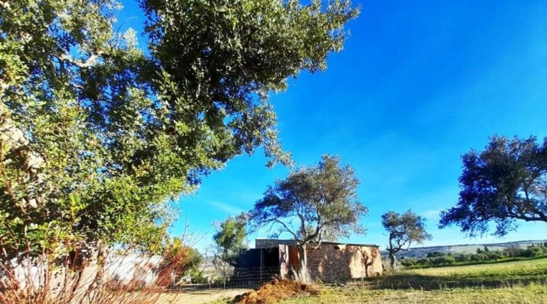 Cádiz - Arcos de la Frontera - 34619m2