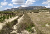 Terreny no urbanitzable en venda a la España, Petrer, ref.: TR131722 foto