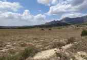 Terreny no urbanitzable en venda a la España, Petrer, ref.: TR131722 foto