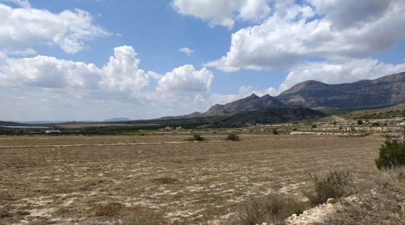 Alicante - Petrer - 100000m2