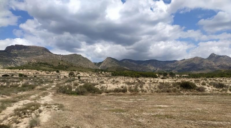 Alicante - Petrer - 100000m2