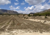 Terreny no urbanitzable en venda a la España, Petrer, ref.: TR131722 foto