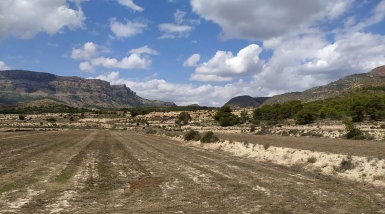 Alicante - Petrer - 100000m2
