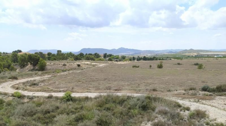 Alicante - Petrer - 100000m2
