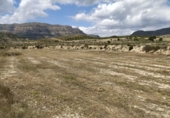 Terreny no urbanitzable en venda a la España, Petrer, ref.: TR131722 foto
