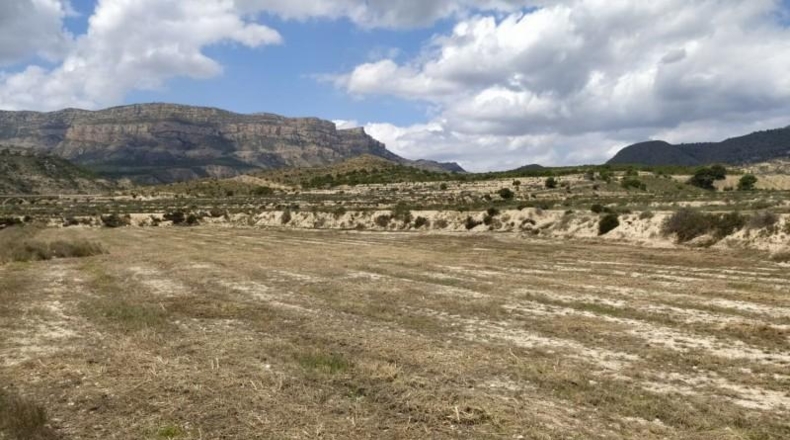 Alicante - Petrer - 100000m2
