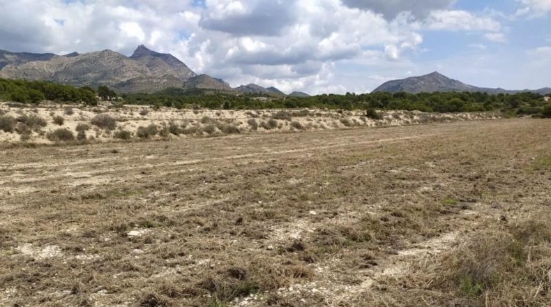 Alicante - Petrer - 100000m2