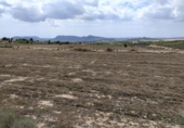 Terreny no urbanitzable en venda a la España, Petrer, ref.: TR131722 foto