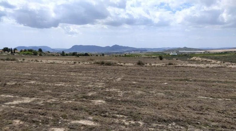 Alicante - Petrer - 100000m2